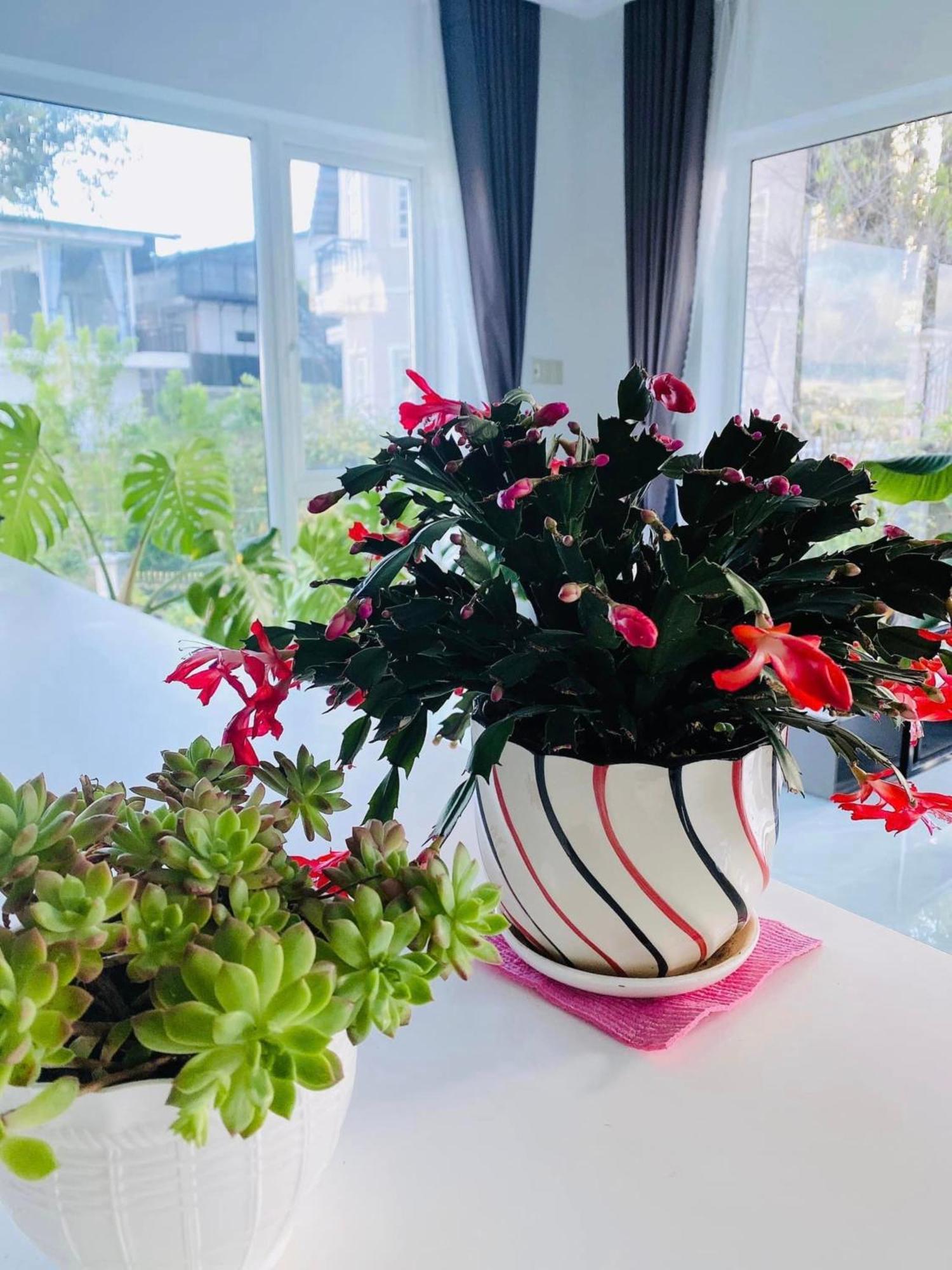 Appartamento Rose House Da Lat Esterno foto
