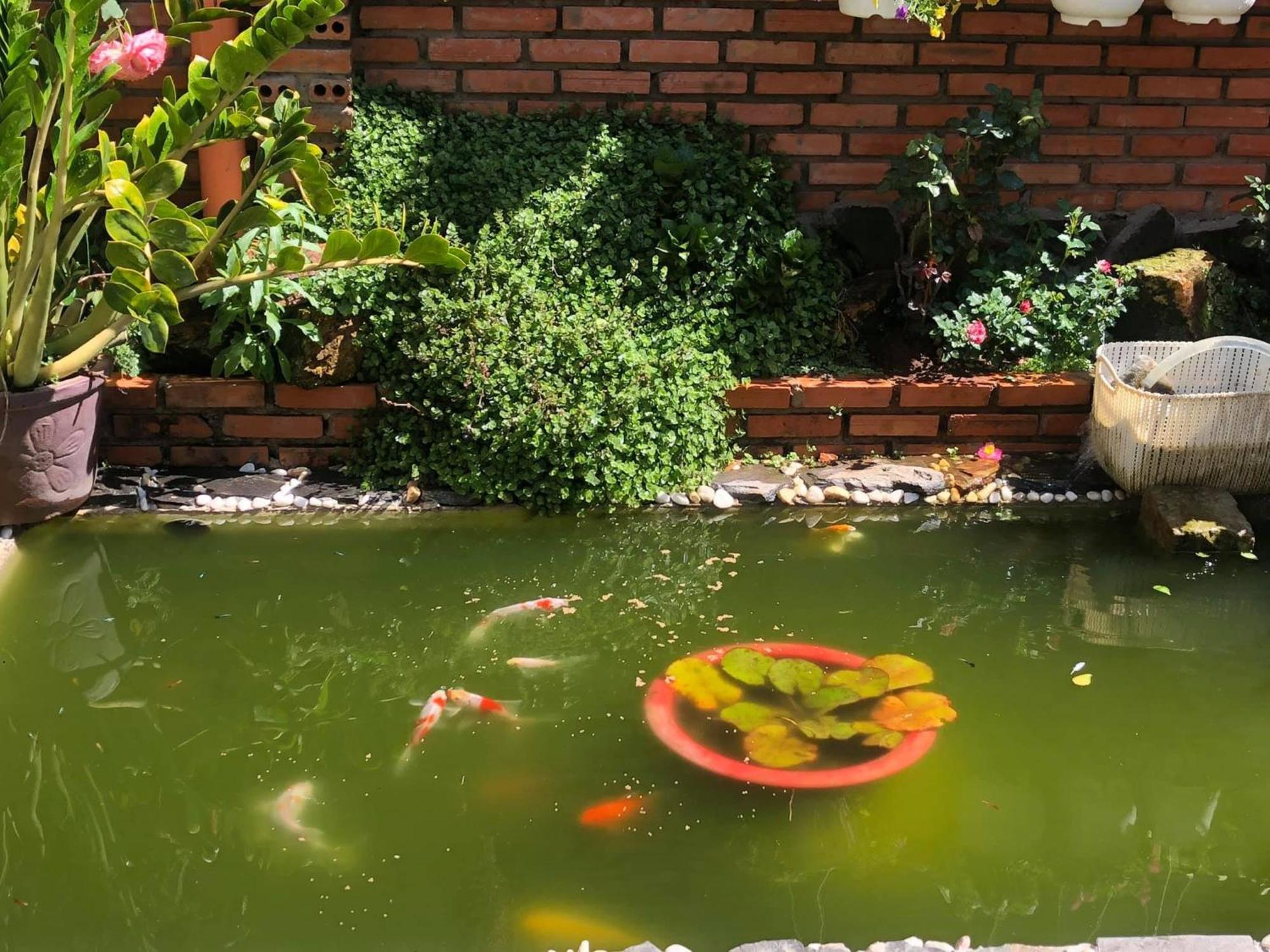 Appartamento Rose House Da Lat Esterno foto